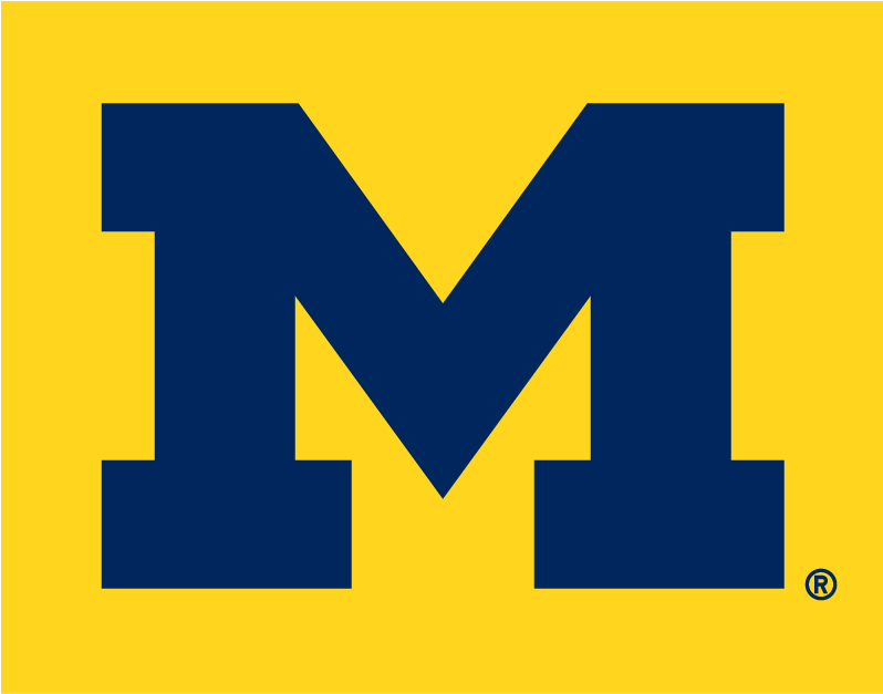 Michigan Wolverines 1996-Pres Alternate Logo v4 diy fabric transfer